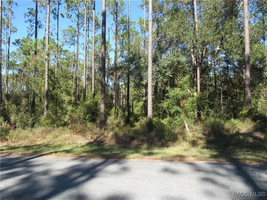 0000 SW Nautilus Boulevard, Dunnellon, FL 34431 - Image #3