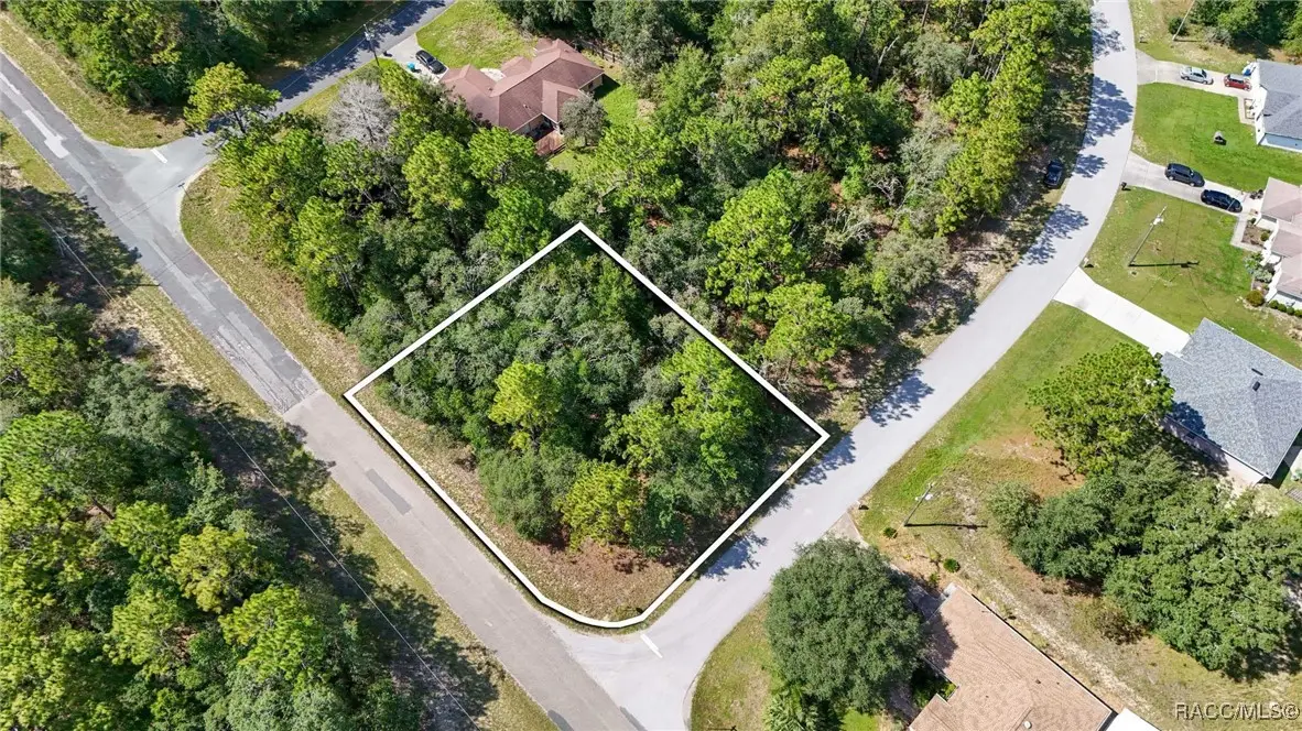 8331 N Primrose Drive, Citrus Springs, FL 34434 - Image #1
