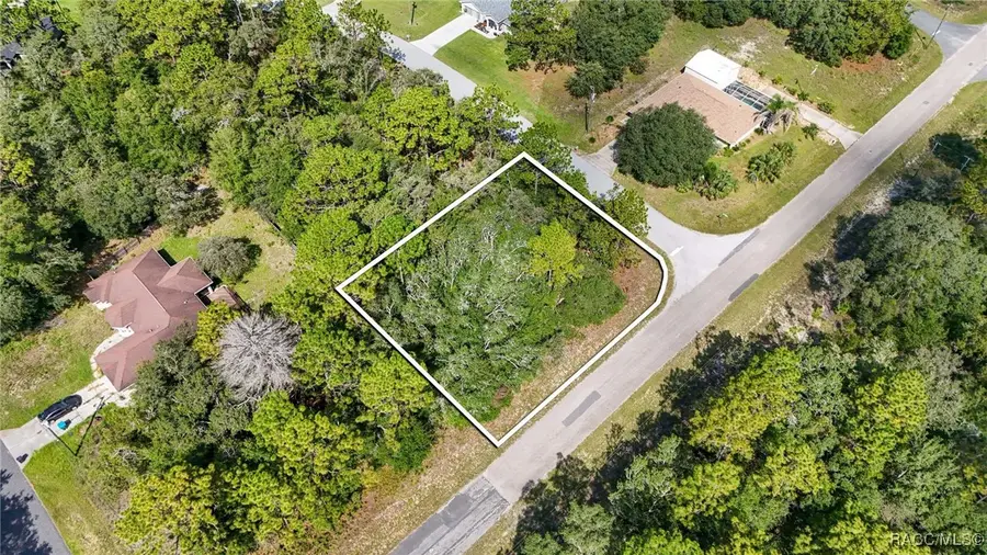 8331 N Primrose Drive, Citrus Springs, FL 34434 - Image #3