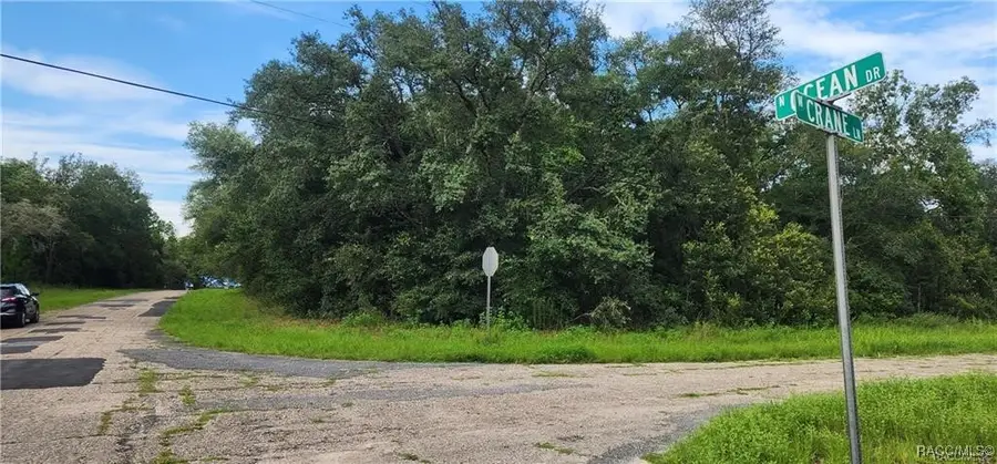 10839 N Ocean Drive, Citrus Springs, FL 34434 - Image #2