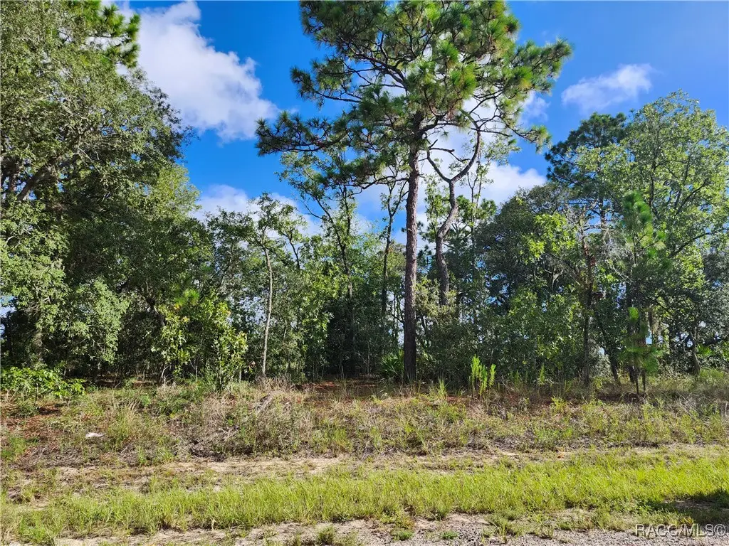 6731 N Darlington Drive, Pine Ridge, FL 34434 - Image #1