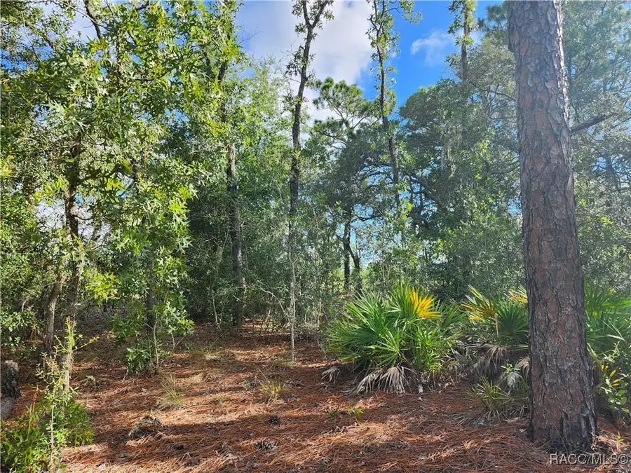 6731 N Darlington Drive, Pine Ridge, FL 34434 - Image #2