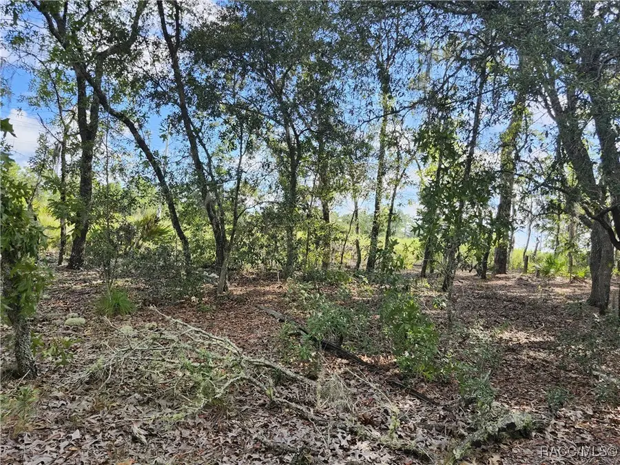 6731 N Darlington Drive, Pine Ridge, FL 34434 - Image #3