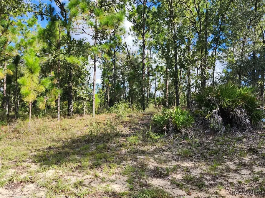 6741 N Darlington Drive, Dunnellon, FL 34434 - #2