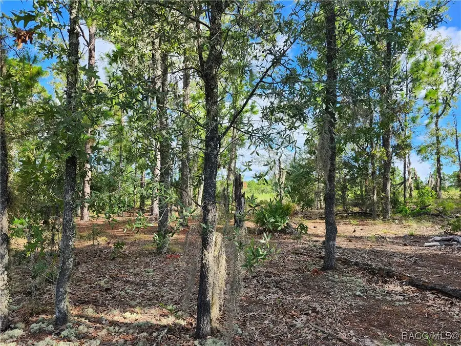 6741 N Darlington Drive, Dunnellon, FL 34434 - #3