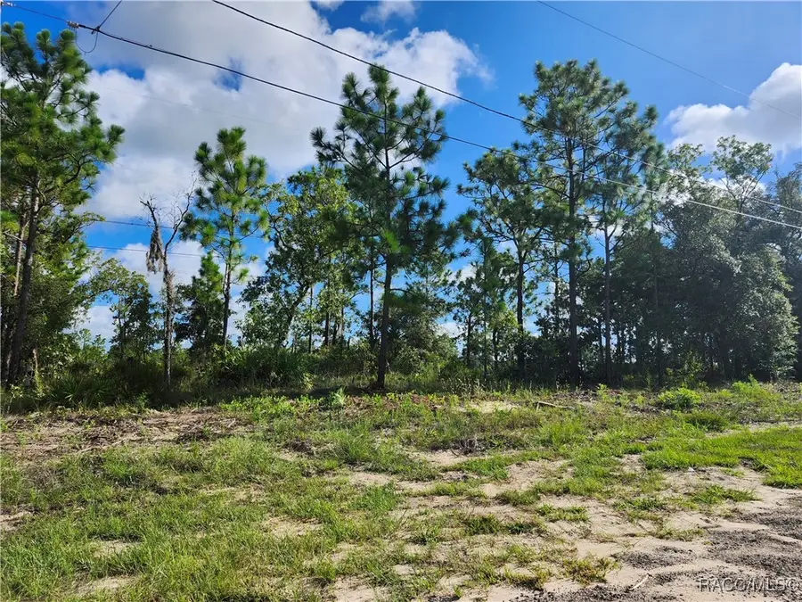 6715 N Darlington Drive, Pine Ridge, FL 34434 - Image #2