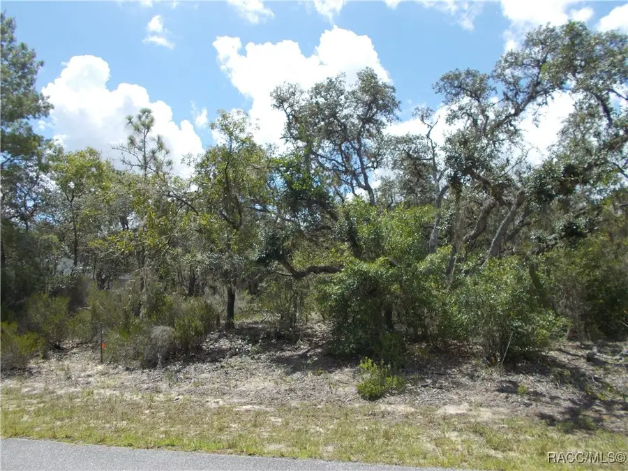 2792 W Gaucho Drive, Citrus Springs, FL 34434 - Image #2