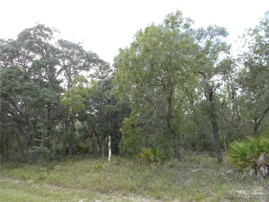 6667 N Underwood Drive, Citrus Springs, FL 34434 - Image #2