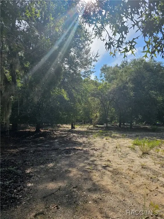 12089 Oakview Avenue S, Floral City, FL 34436 - Image #2