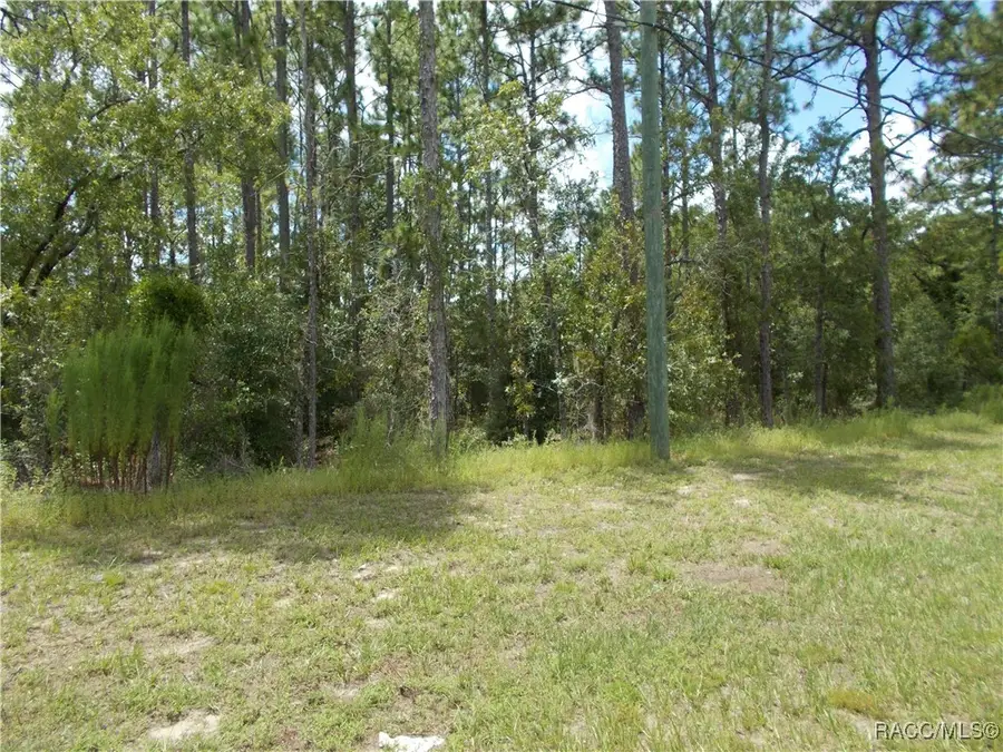 1168 W Citrus Springs Boulevard, Citrus Springs, FL 34434 - Image #2