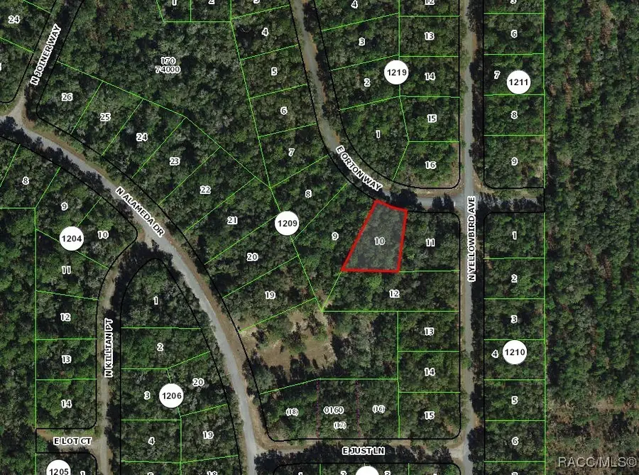 8264 N Orton Way, Citrus Springs, FL 34434 - Image #2