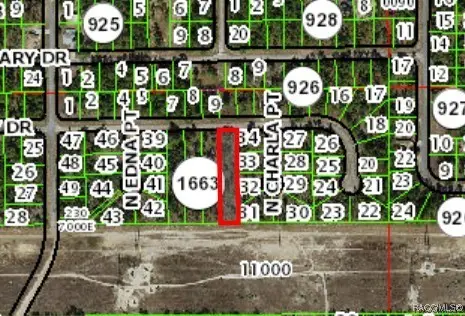 1142 W Riley Drive, Citrus Springs, FL 34434 - Image #3