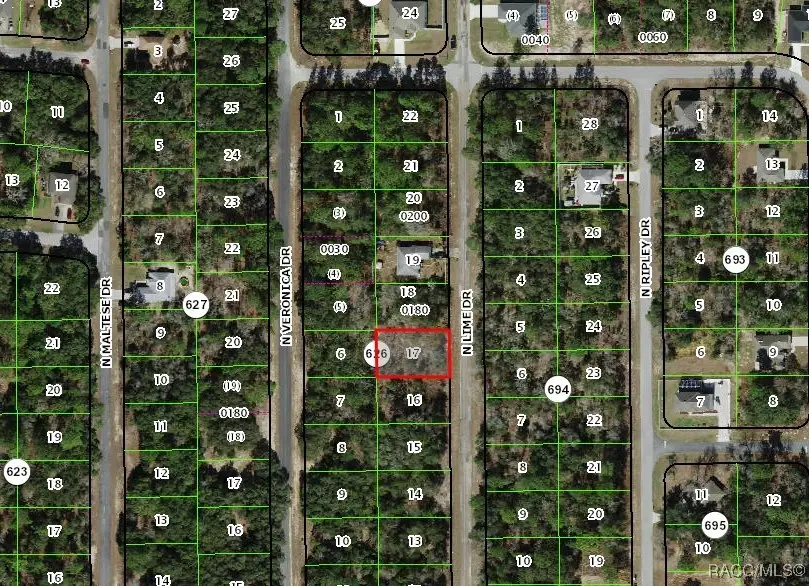 7180 N Lime Drive, Citrus Springs, FL 34433 - #3