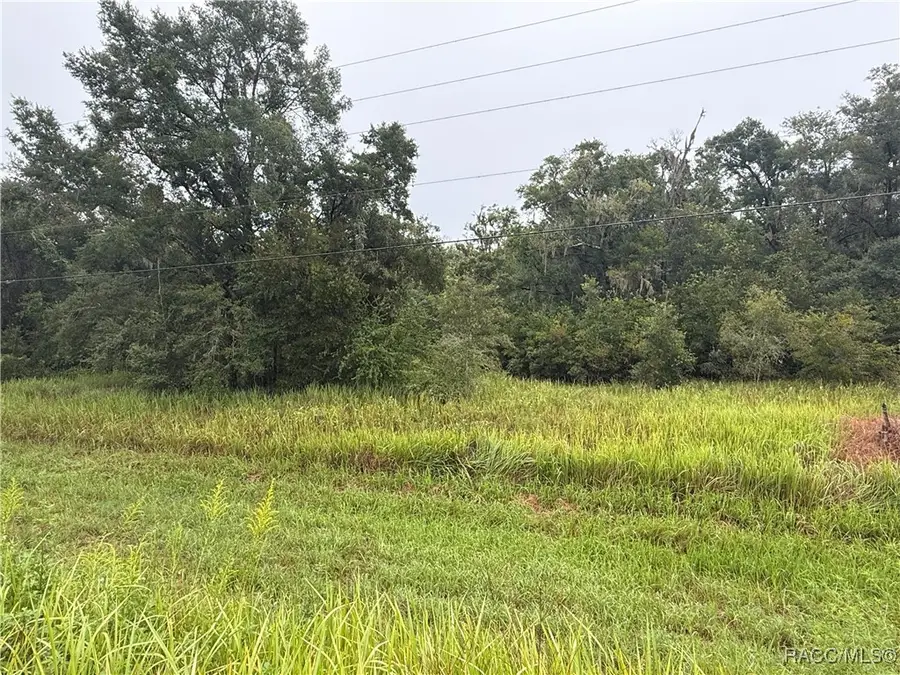 8935 S Pleasant Grove Road, Inverness, FL 34452 - Image #3