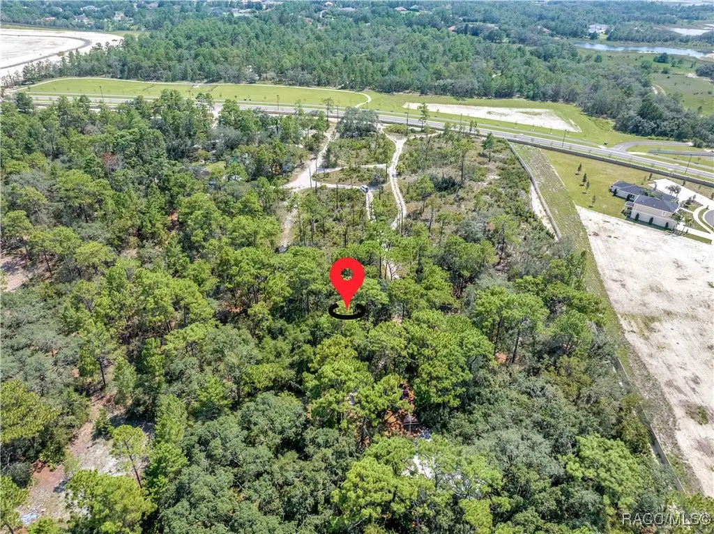 0 Restoration Road, Weeki Wachee, FL 34613 - Image #1