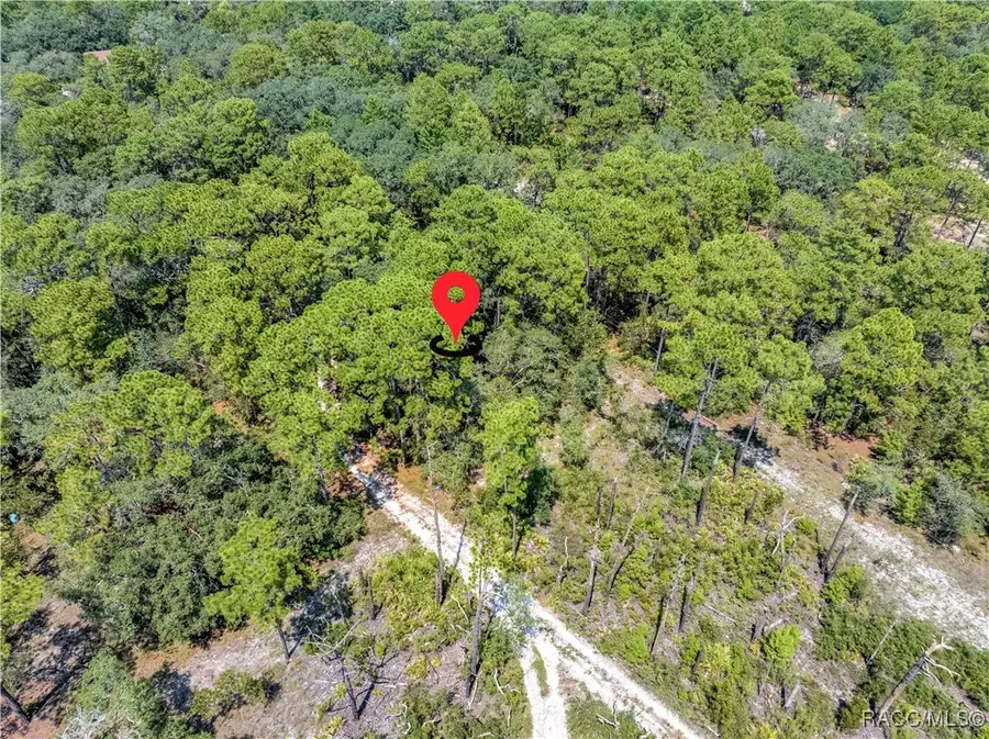 0 Restoration Road, Weeki Wachee, FL 34613 - Image #2