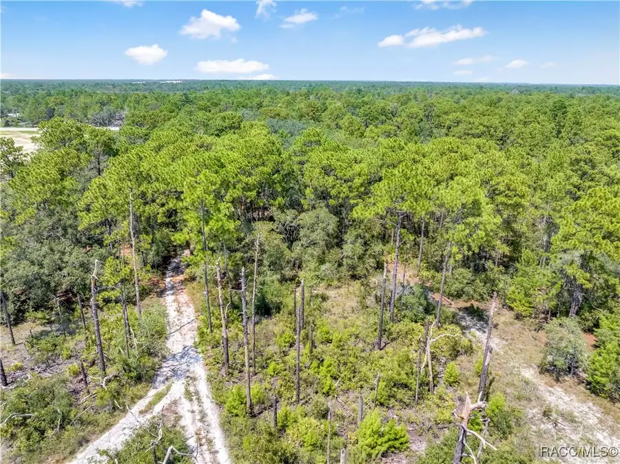 0 Restoration Road, Weeki Wachee, FL 34613 - Image #3