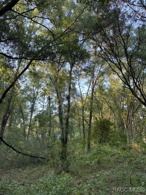 3123 E Kay Lane, Inverness, FL 34453 - #1