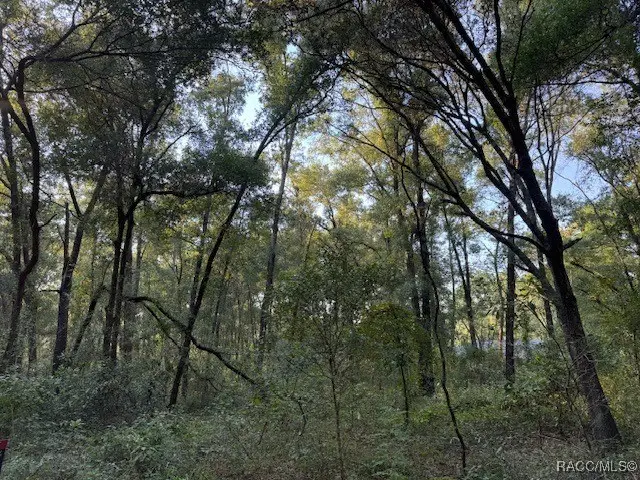 3123 E Kay Lane, Inverness, FL 34453 - #3