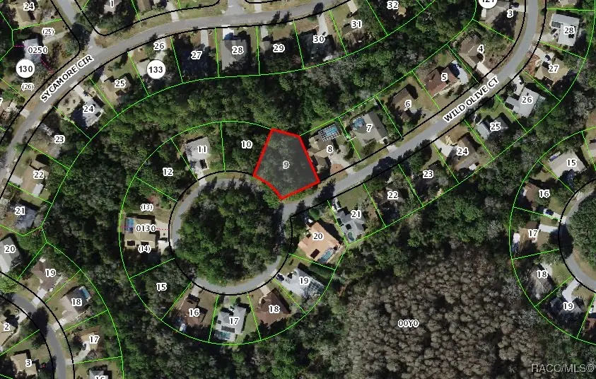 24 Wild Olive Court, Homosassa, FL 34446 - Image #2