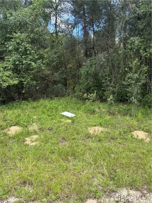 875 E Elston Place, Citrus Springs, FL 34434 - #3