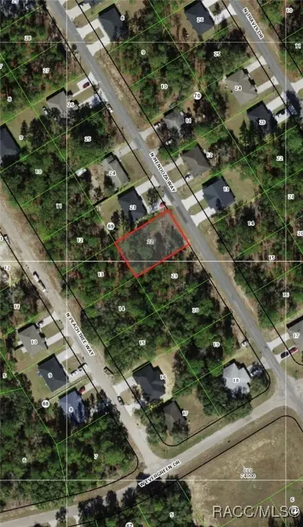 9156 N Mendoza Way, Citrus Springs, FL 34434 - Image #2