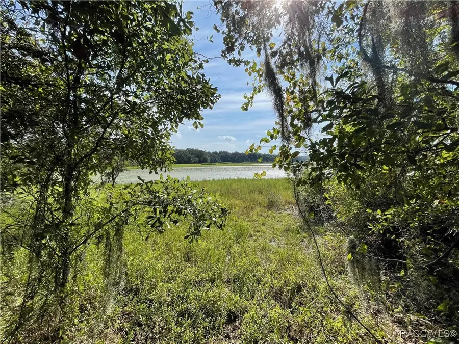 LOTS 15, 16 SW Shorewood Drive, Dunnellon, FL 34431 - Image #3