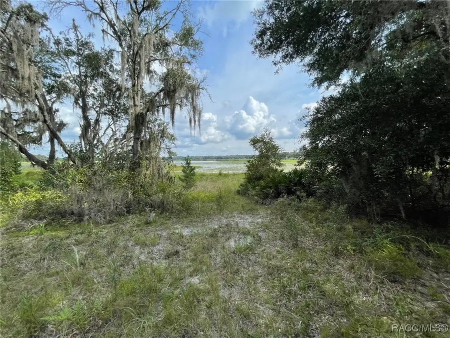 LOTS 462, 463 SW Shorewood Drive, Dunnellon, FL 34431 - Image #2
