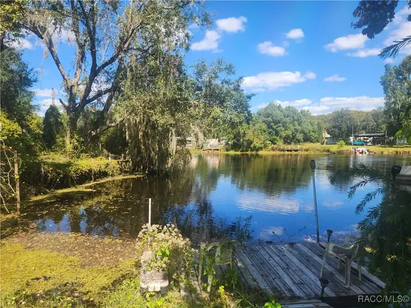 5701 S Withlapopka Drive, Floral City, FL 34436