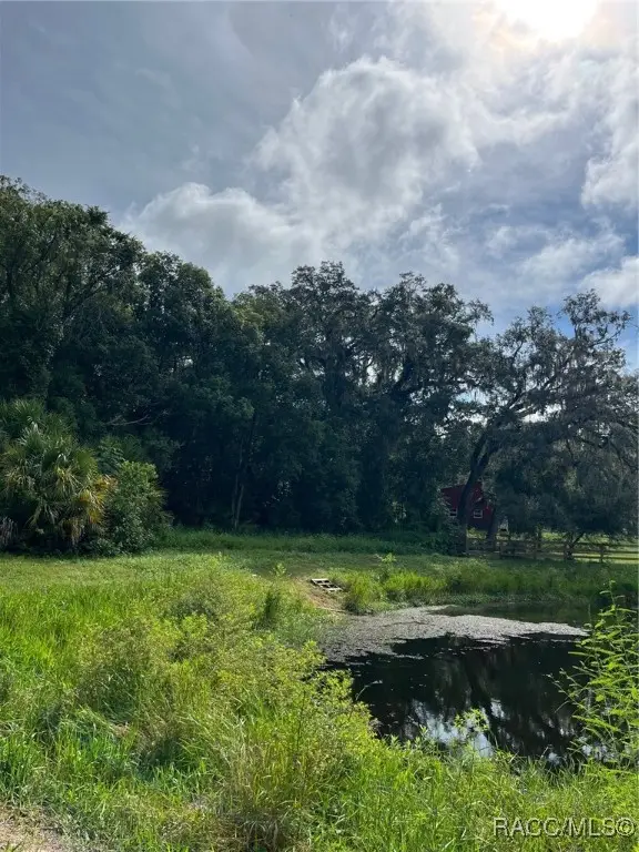 4780 S Silver Fox Terrace, Inverness, FL 34452 - Image #2