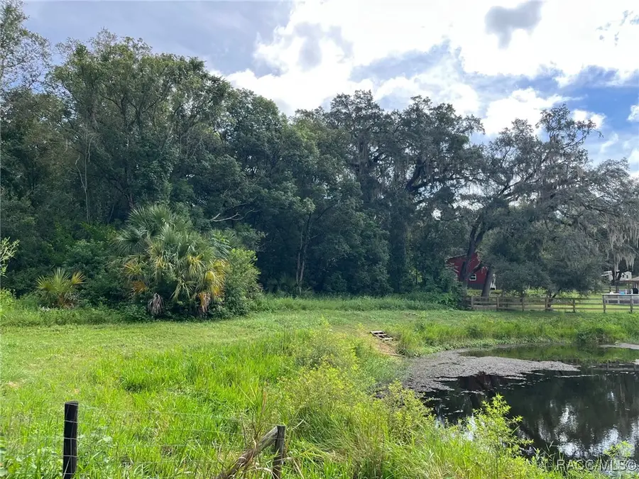 4780 S Silver Fox Terrace, Inverness, FL 34452 - Image #3