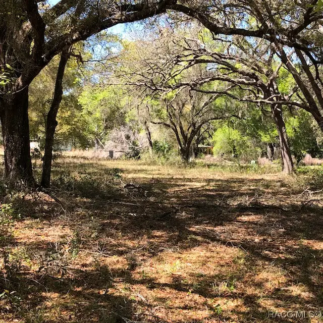 2001 N Hwy 41 Highway, Inverness, FL 34453 - #3