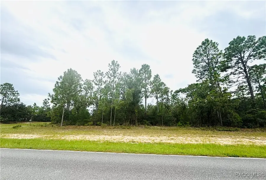 4021 W Malaluka Circle, Citrus Springs, FL 34433 - Image #3