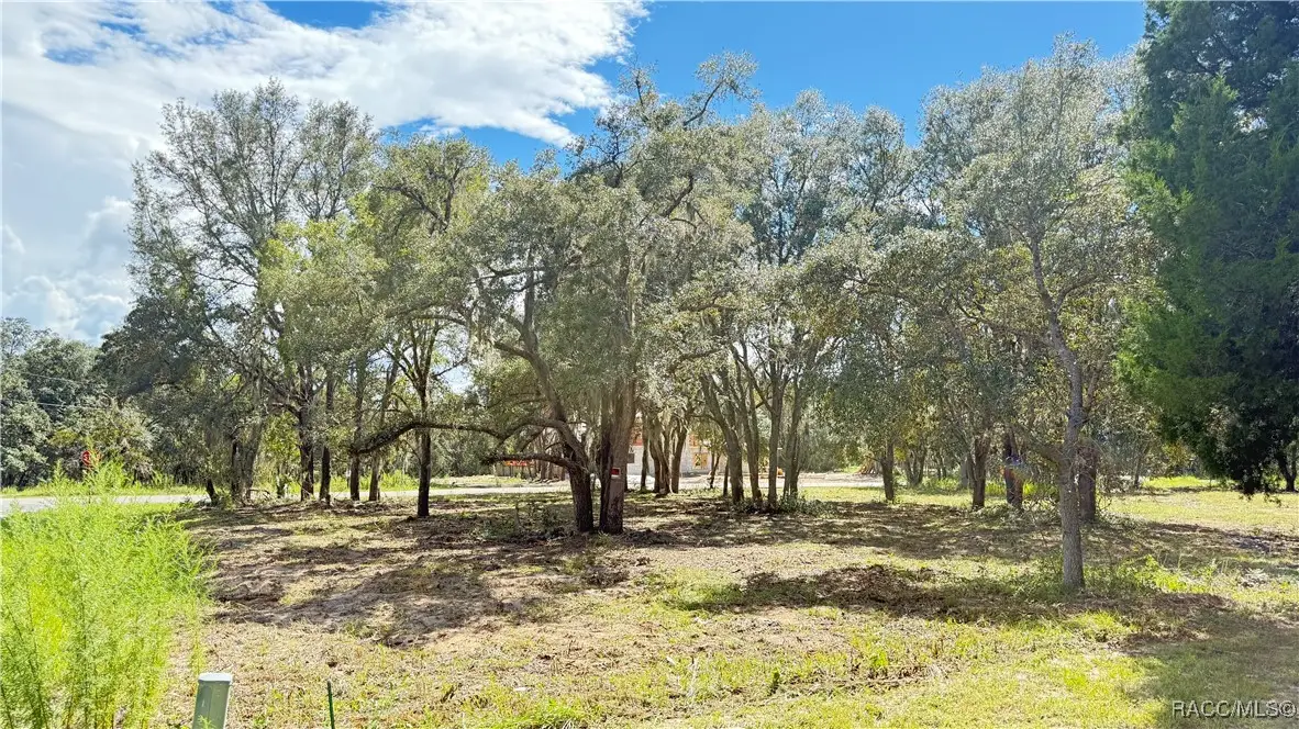 54 N Indianapolis Avenue, Hernando, FL 34442 - Image #1