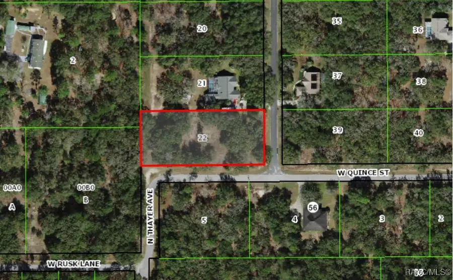 54 N Indianapolis Avenue, Hernando, FL 34442 - Image #2