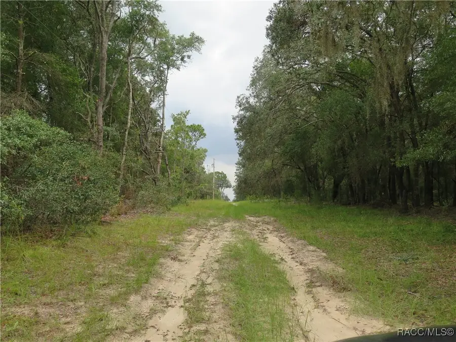 1434 W Milan Lane, Hernando, FL 34442 - Image #2