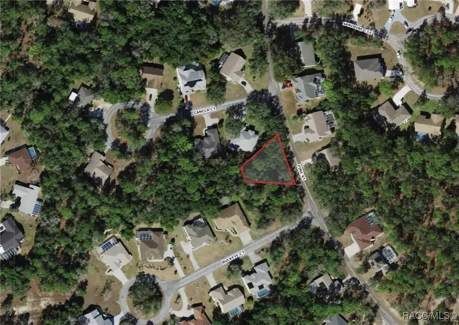 246 Pine Street, Homosassa, FL 34446 - Image #2