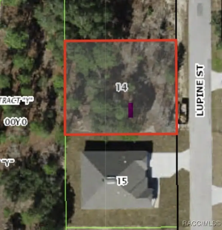 25 Lupine Street, Homosassa, FL 34446 - Image #1
