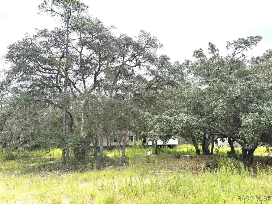 3445 S Race Avenue, Lecanto, FL 34461 - Image #3