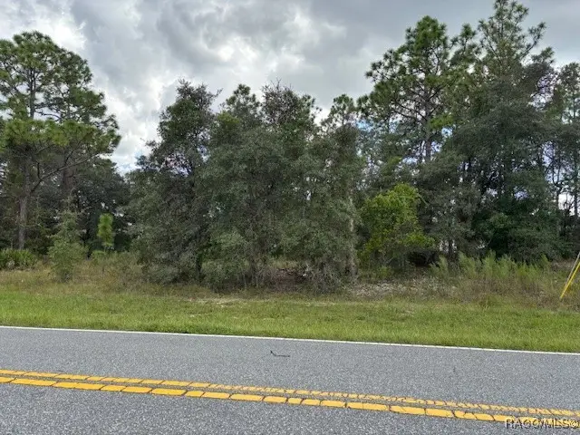 1046 W Hampshire Boulevard, Dunnellon, FL 34434 - Image #1