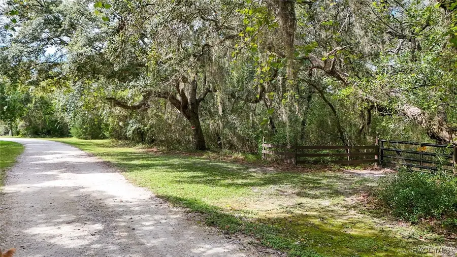 11559 Steamboat Drive, Floral City, FL 34436 - Image #3