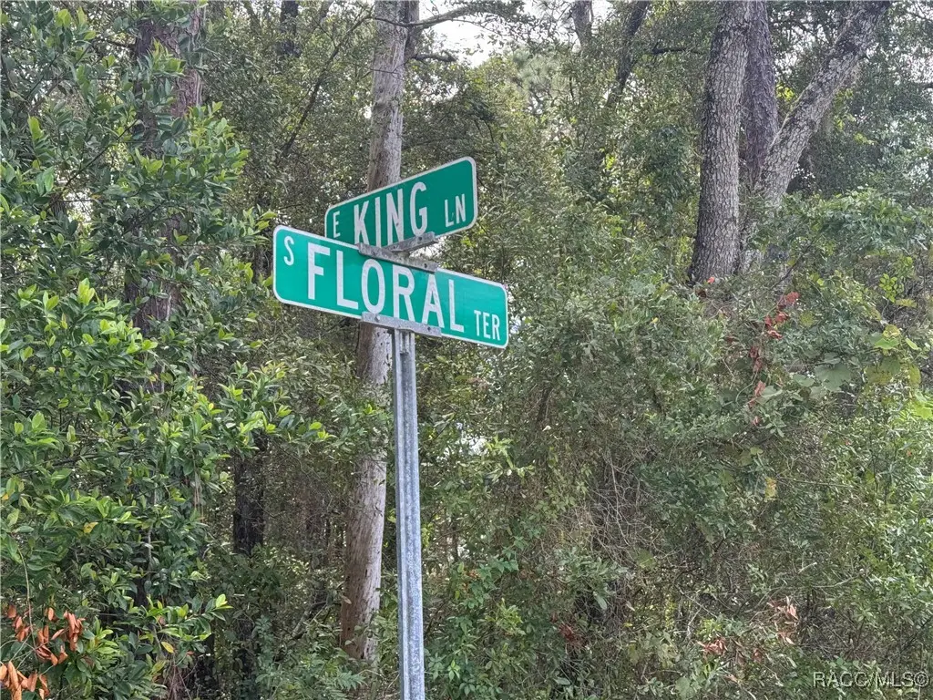 6046 E King Lane, Inverness, FL 34452 - Image #1