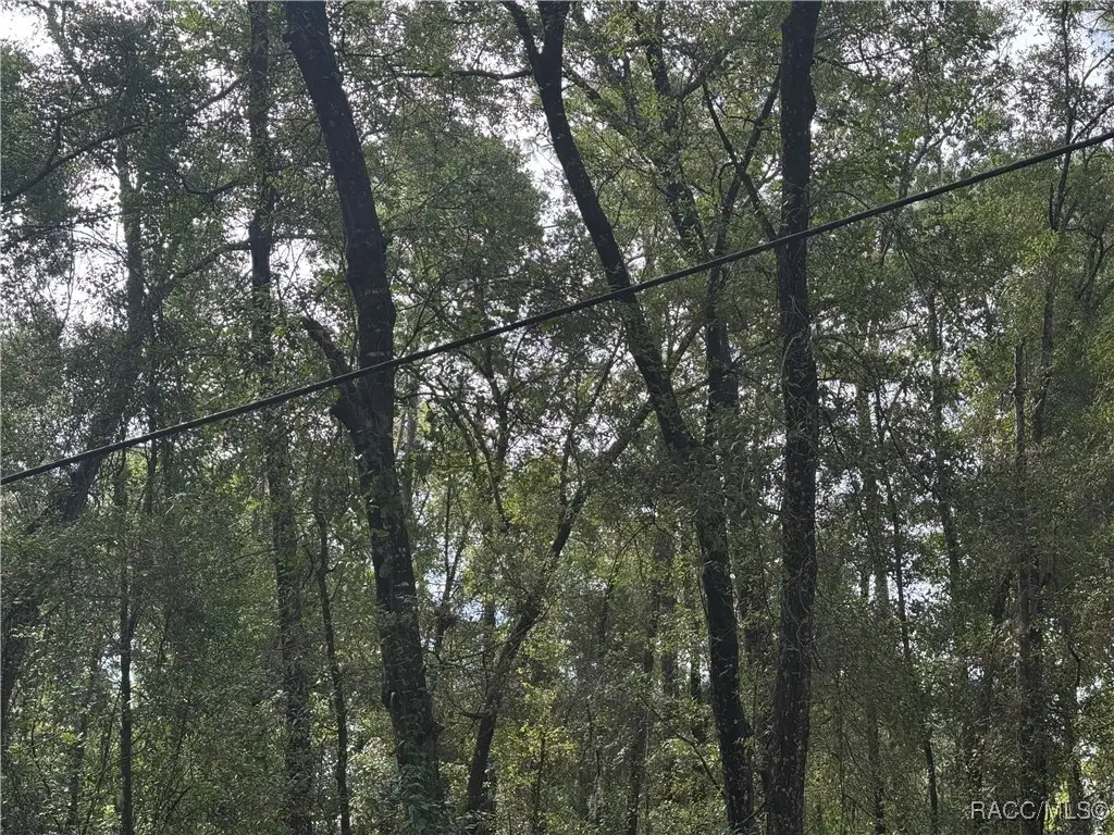 6066 E King Lane, Inverness, FL 34452 - Image #1