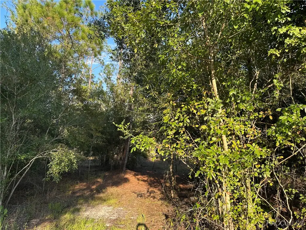 8338 Hardstone Drive, Webster, FL 33597 - #1