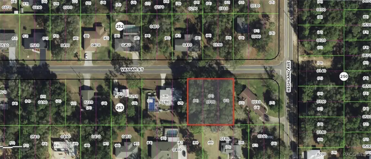 319 Vassar Street, Inverness, FL 34452 - Image #1