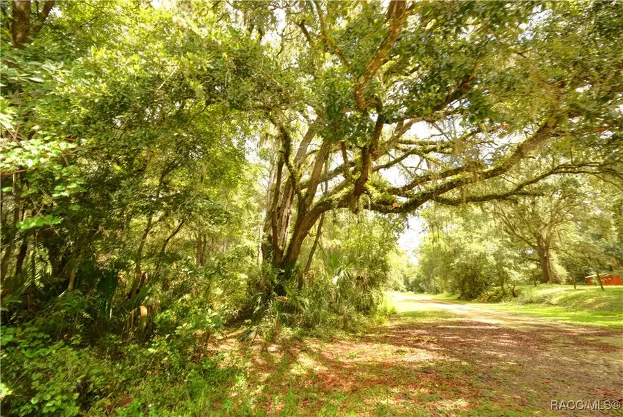 2259 W Wildflower Court, Dunnellon, FL 34434 - #2