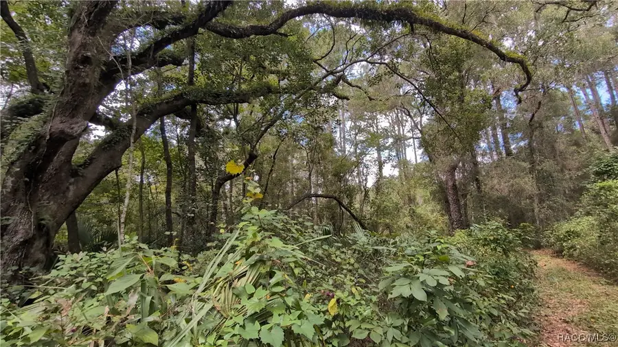 2259 W Wildflower Court, Dunnellon, FL 34434 - #3