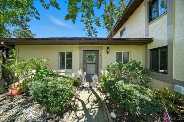 2923 Lichen Lane #A, Clearwater, FL 33760