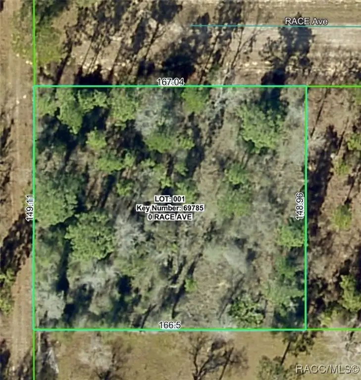 14056 Race Avenue, Brooksville, FL 34614 - Image #1