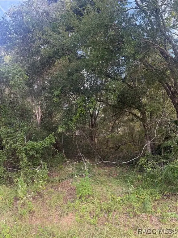 4087 E Dano Street, Inverness, FL 34453 - Image #2